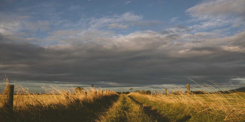 企业网络与网络安全双轮驱动：尤比克通信如何重塑港口自动化未来