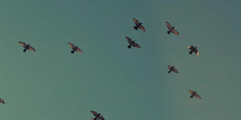 尤比克通信72：构筑下一代网络安全通信系统的技术基石