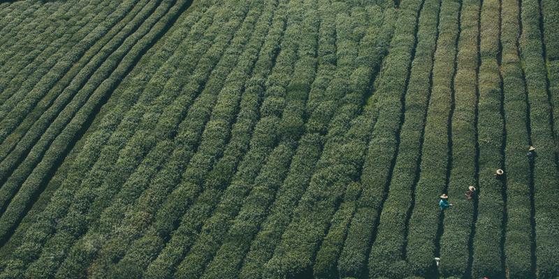 尤比克通信78：重塑现代通信系统的网络服务技术引擎