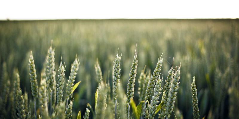 尤比克通信90：构建企业级网络维护与通信系统的全方位解决方案