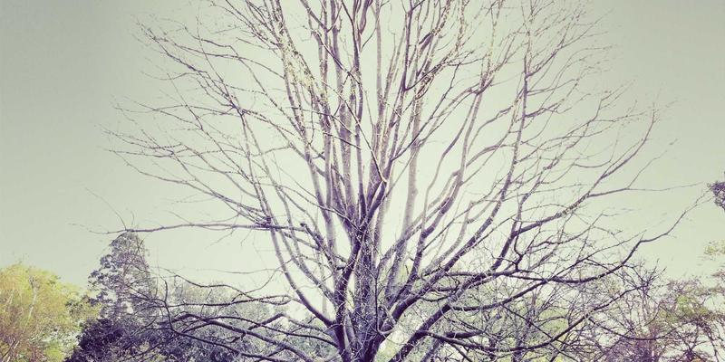 尤比克通信：以网络服务与维护为核心，驱动大型场馆智能化系统融合