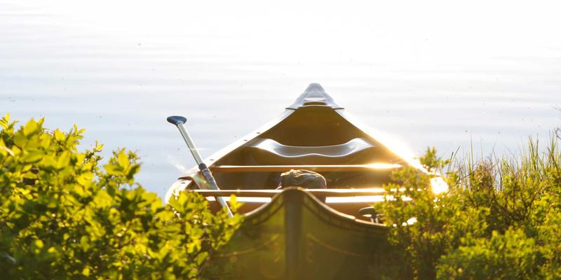 尤比克通信前景：网络安全、通信系统与网络服务的融合与挑战