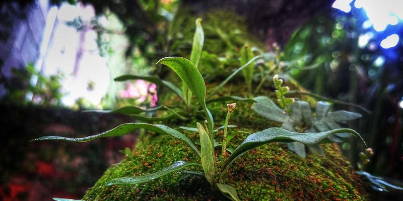 尤比克通信协议详解：消息格式与通信模式如何优化现代通信系统