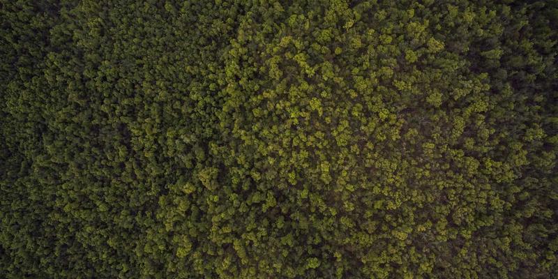 尤比克通信应用：赋能企业网络，重塑高效连接与智能维护新范式