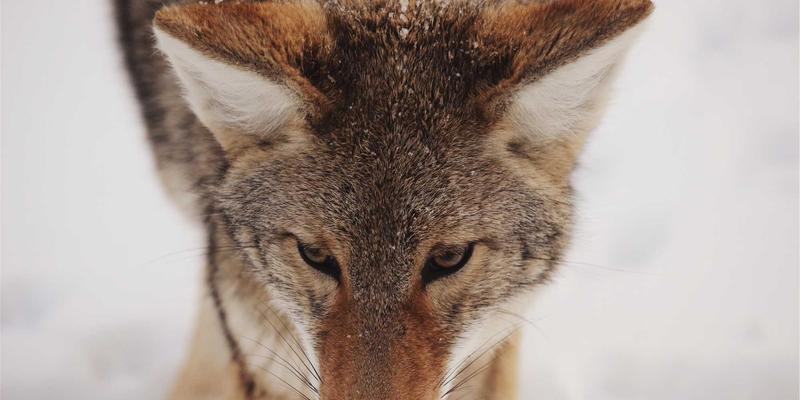 尤比克通信：构筑企业物联网网络安全与高效服务的核心基石