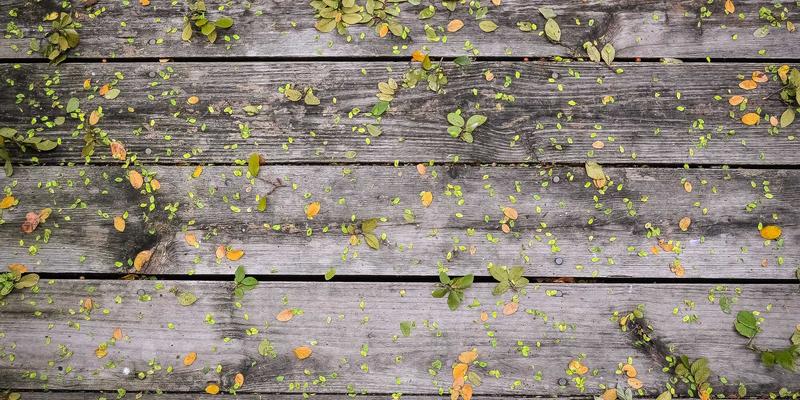 尤比克通信：筑牢智慧港口岸桥远程控制的低延迟与网络安全基石