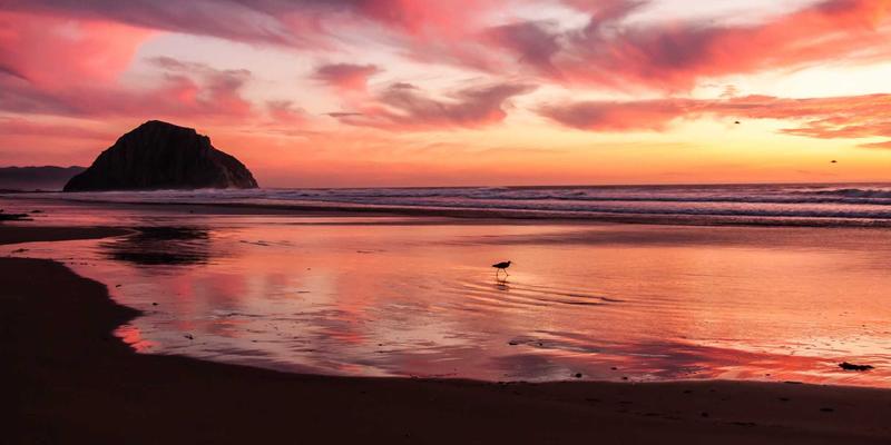 尤比克通信：赋能未来，连接无限可能