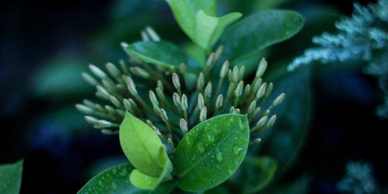 网络服务与网络安全：尤比克通信如何成为智慧港口自动化运营的神经中枢